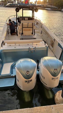 PROMARINE OFFSHORE 33 full