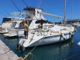 VELERO NAUDAR 40