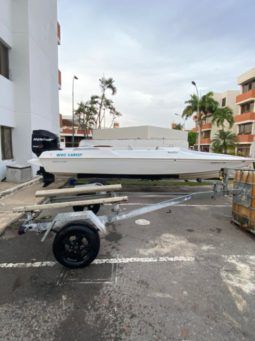 
										TRAILER GALVANIZADO 12 full									