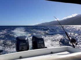 COPPOLA OFF SHORE 30.8