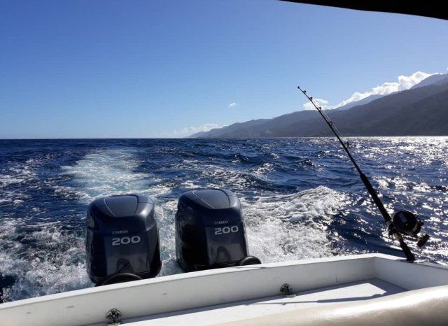 
								COPPOLA OFF SHORE 30.8 full									
