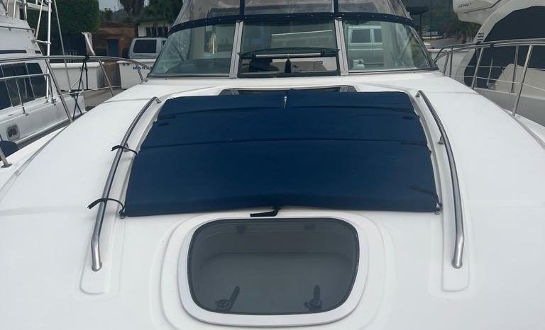 
								SEA RAY SUNDANCER 41 full									