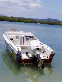 
										INTERMARINE Z24 full									