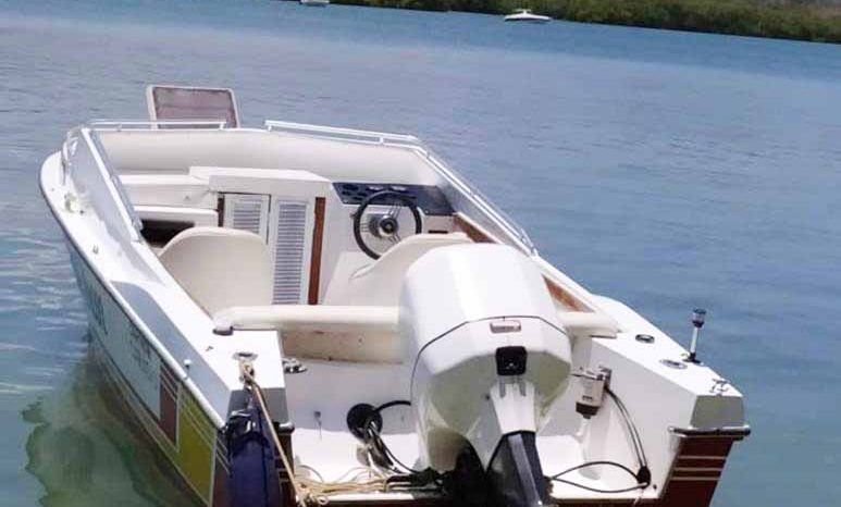 
								INTERMARINE Z24 full									