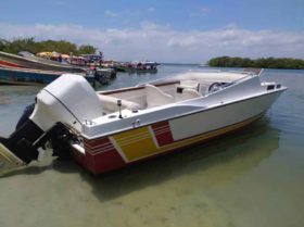 INTERMARINE Z24