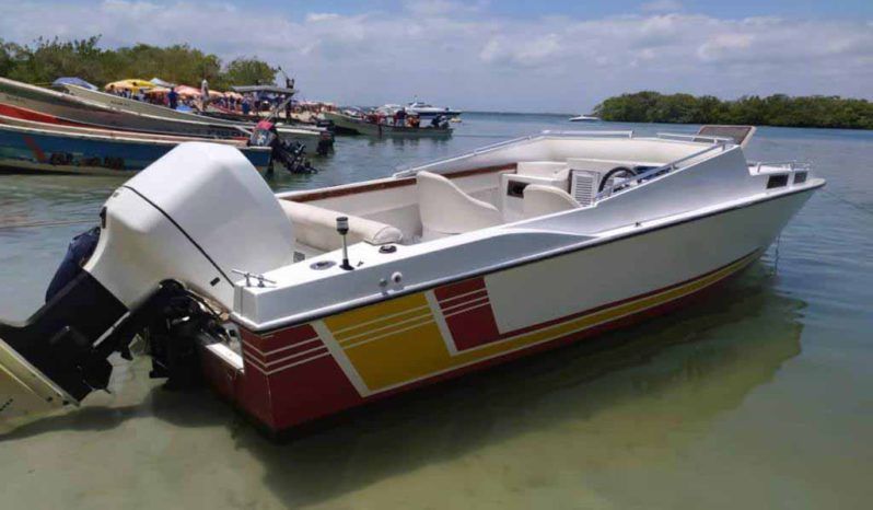 
								INTERMARINE Z24 full									