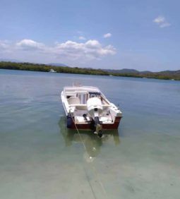 
										INTERMARINE Z24 full									
