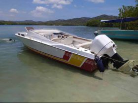 INTERMARINE Z24