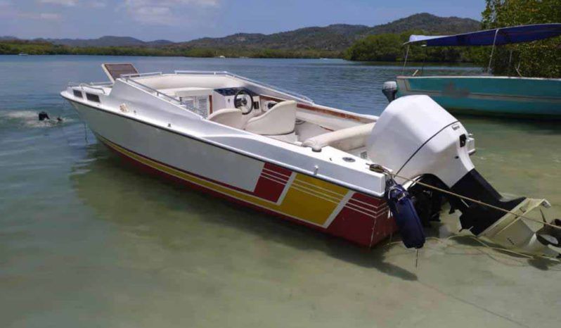 
								INTERMARINE Z24 full									