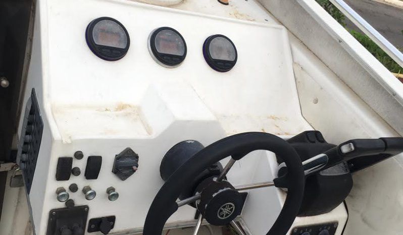 
								INTERMARINE 33 full									