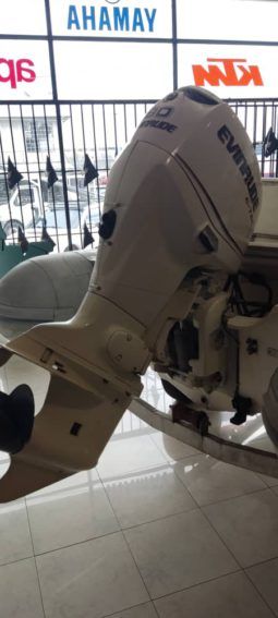
										DINGHY AB 14 full									