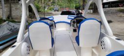 BLUE ARROW 20 full