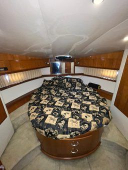 
										CARVER 46 full									