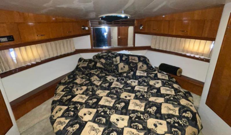 
								CARVER 46 full									