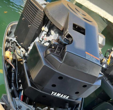 
								PAREJA DE MOTORES YAMAHA SALTWATER SERIES V4 130HP full									