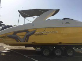 PROMARINE SS 38