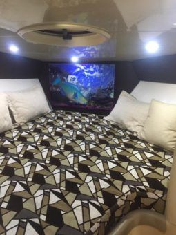 PROMARINE SS 38 full