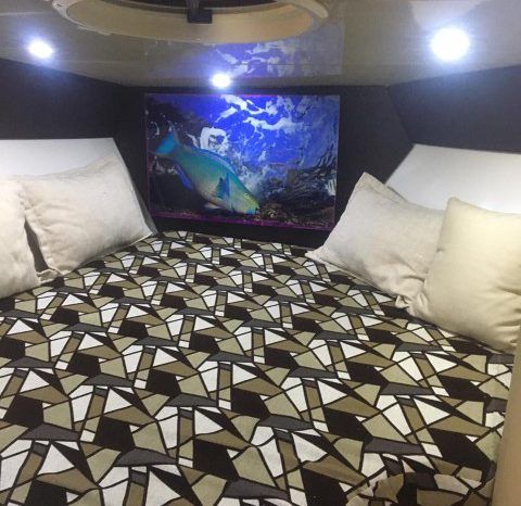 PROMARINE SS 38 full