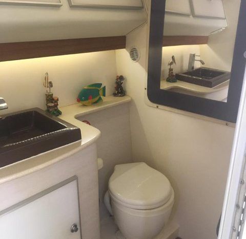 PROMARINE SS 38 full