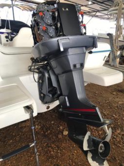 
										INTERMARINE OPEN 19 full									