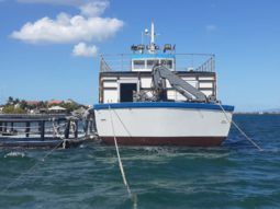 
										BUQUE DE CARGA Y TRANSPORTE ASTULLA 76 full									