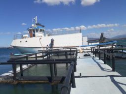 
										BUQUE DE CARGA Y TRANSPORTE ASTULLA 76 full									