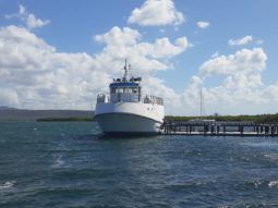 
										BUQUE DE CARGA Y TRANSPORTE ASTULLA 76 full									