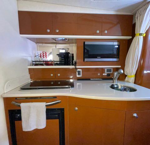 
								SEA RAY SUNDANCER 310 33 full									