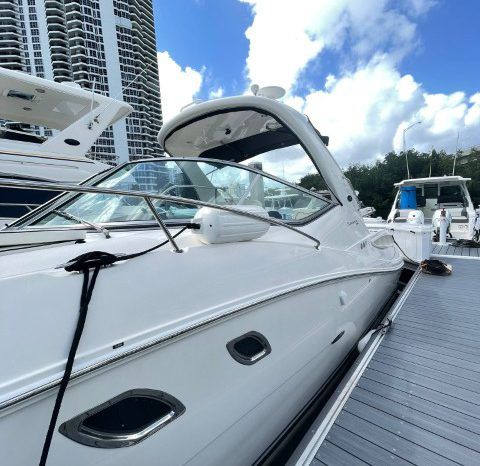 
								SEA RAY SUNDANCER 310 33 full									