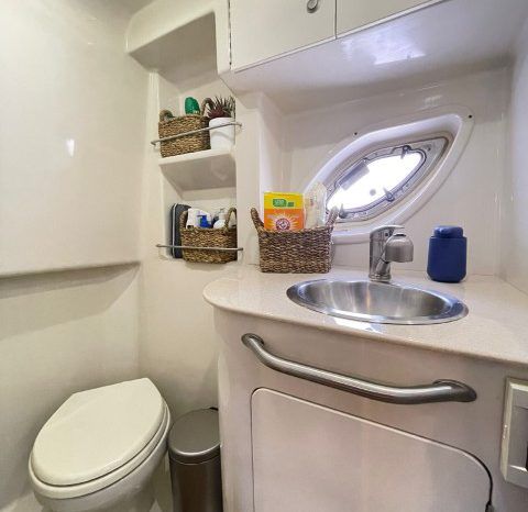 
								SEA RAY SUNDANCER 310 33 full									