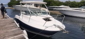 WELLCRAFT COASTAL 223