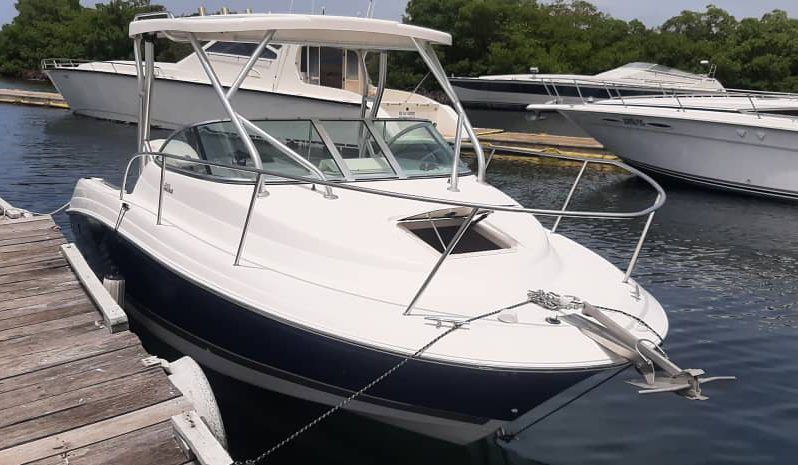 
								WELLCRAFT COASTAL 223 full									