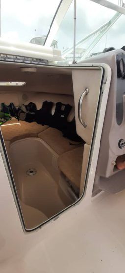 
										WELLCRAFT COASTAL 223 full									