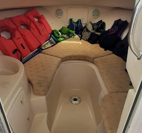 
								WELLCRAFT COASTAL 223 full									