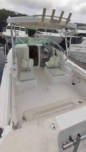WELLCRAFT COASTAL 223