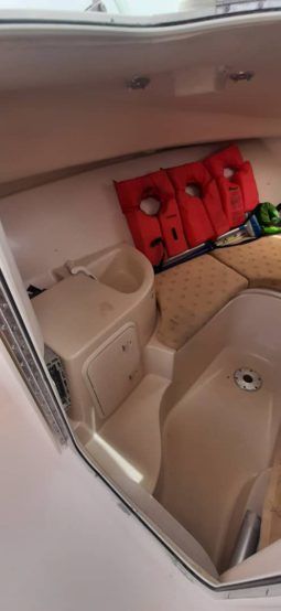 
										WELLCRAFT COASTAL 223 full									