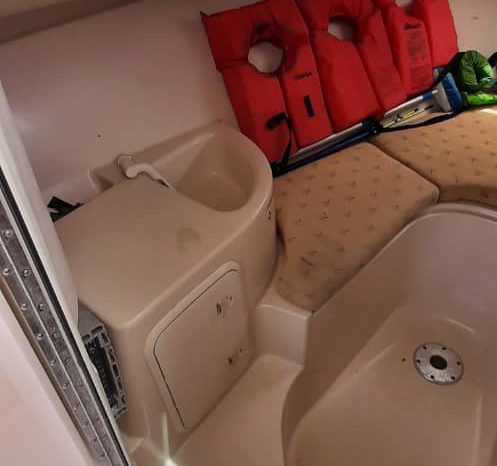 
								WELLCRAFT COASTAL 223 full									
