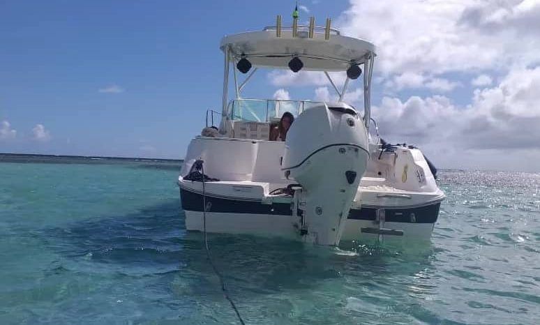 
								WELLCRAFT COASTAL 223 full									