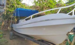 
										RUBHER MARINE AVENTURA 24 full									