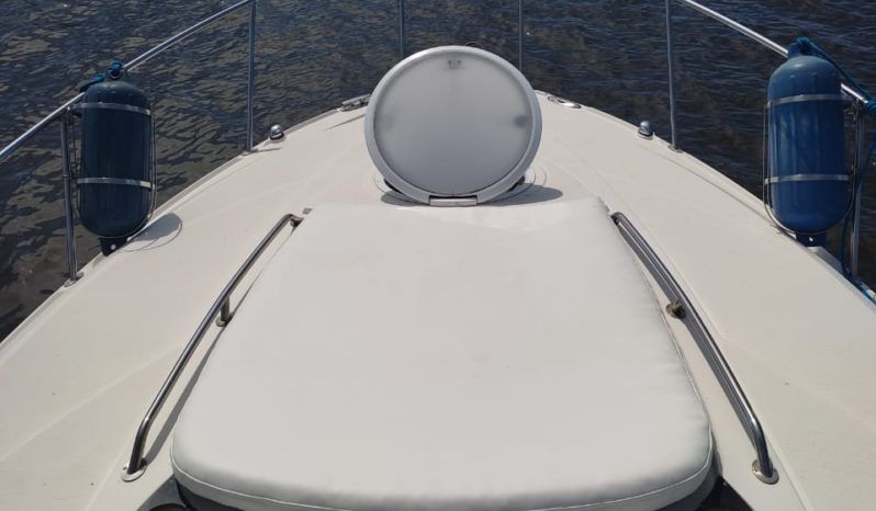 
								MONTEREY 290 29 full									