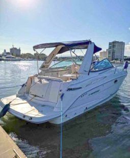 
										MONTEREY SPORT CRUISER 290 full									
