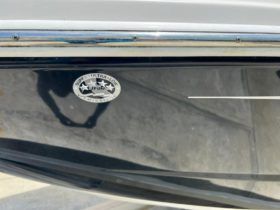 SEA RAY SUNDECK 280