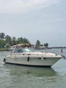 SEA RAY SUNDANCER 34
