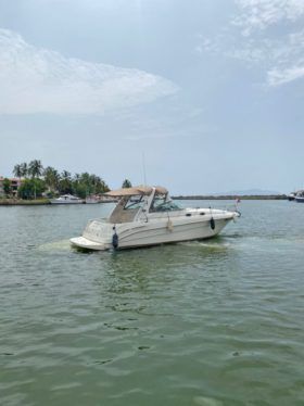 SEA RAY SUNDANCER 34