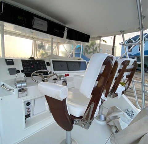 
								VIKING SPORT FISHERMAN 50 full									