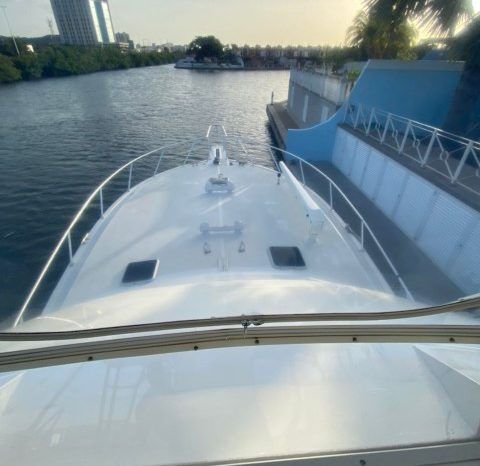 
								VIKING SPORT FISHERMAN 50 full									