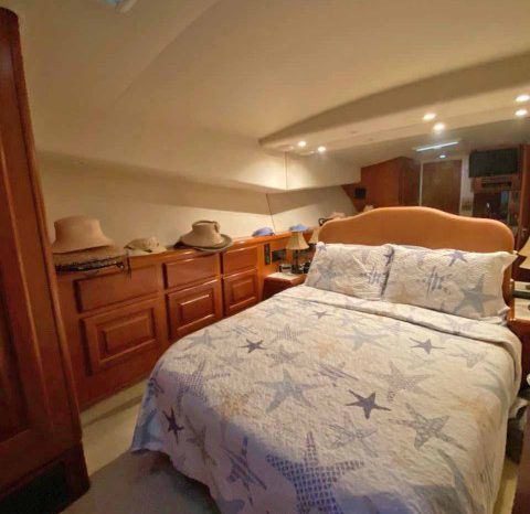 
								VIKING SPORT FISHERMAN 50 full									