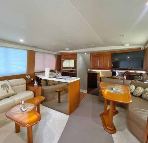 
								VIKING SPORT FISHERMAN 50 full									