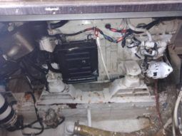 
										BERTRAM 36 full									
