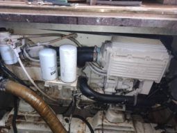 
										BERTRAM 36 full									